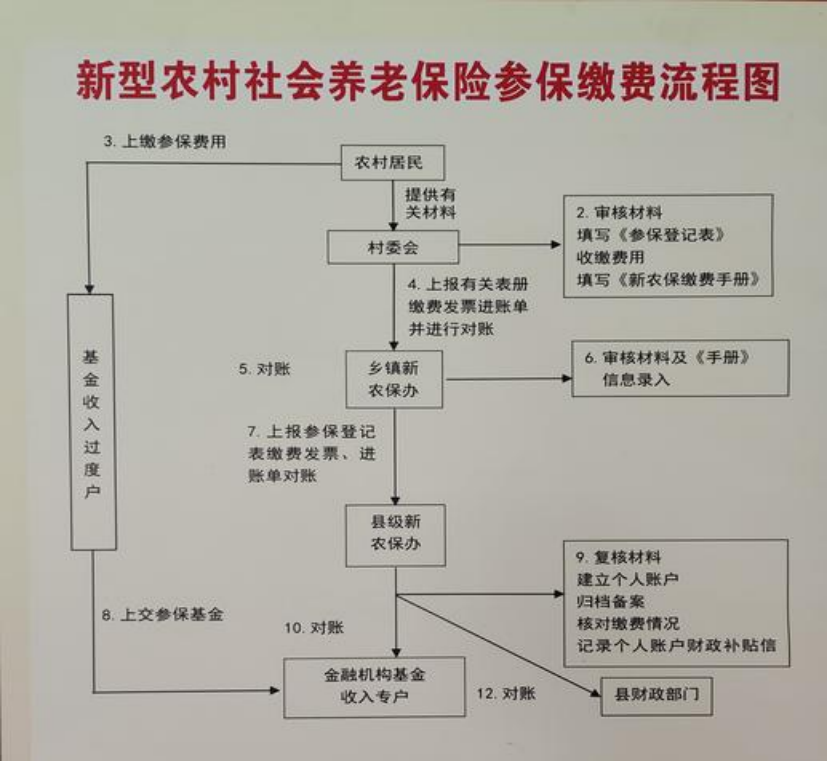淮南农村医保和社保有什么区别(农村医保跟社保的区别)
